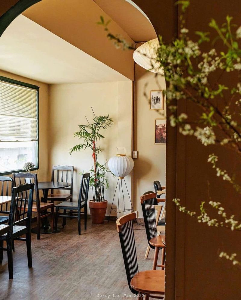 Thiết kế quán cafe xu hướng 2026